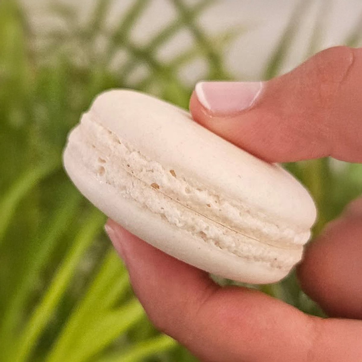 Macaron